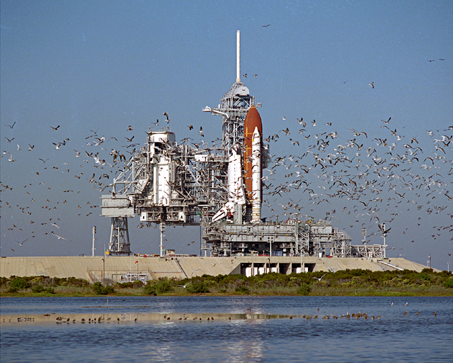 Space History Photo: STS-27 Rollout
